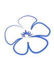 icon 4